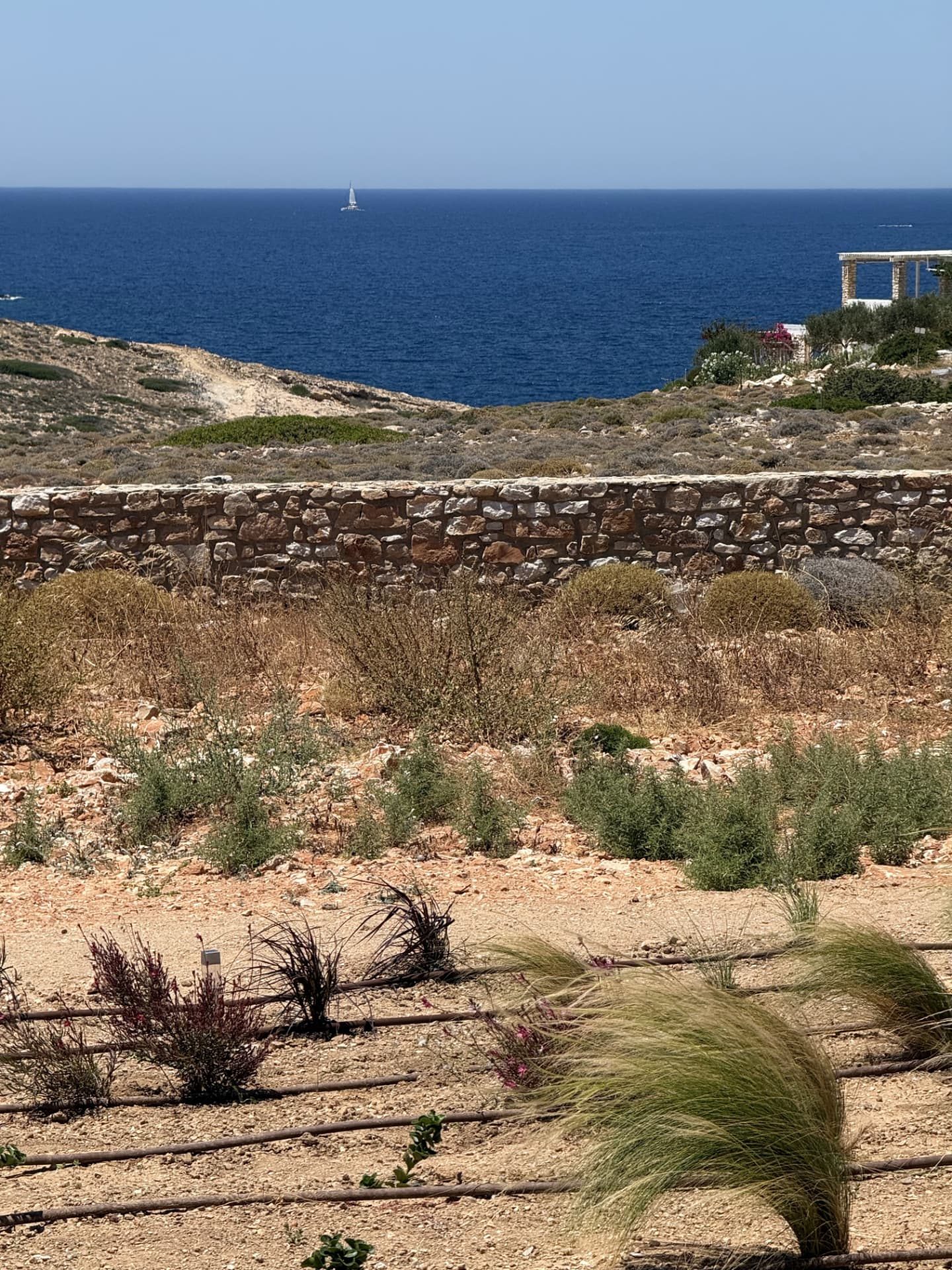 Native grasses and the dry-stone boundary wall of DEON above the open Aegean
